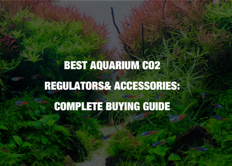 Best aquarium co2 outlet regulator