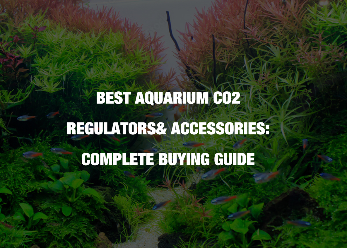 Best aquarium best sale co2 regulator