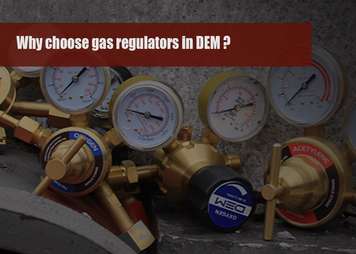 Why choose DEM gas regulator?