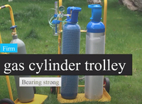 gas cylinder trolley